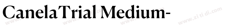 CanelaTrial Medium字体转换